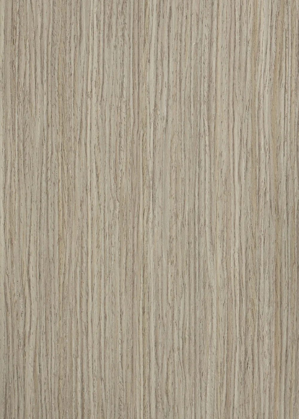 Ąžuolas 154 S (2500 x 640 mm)