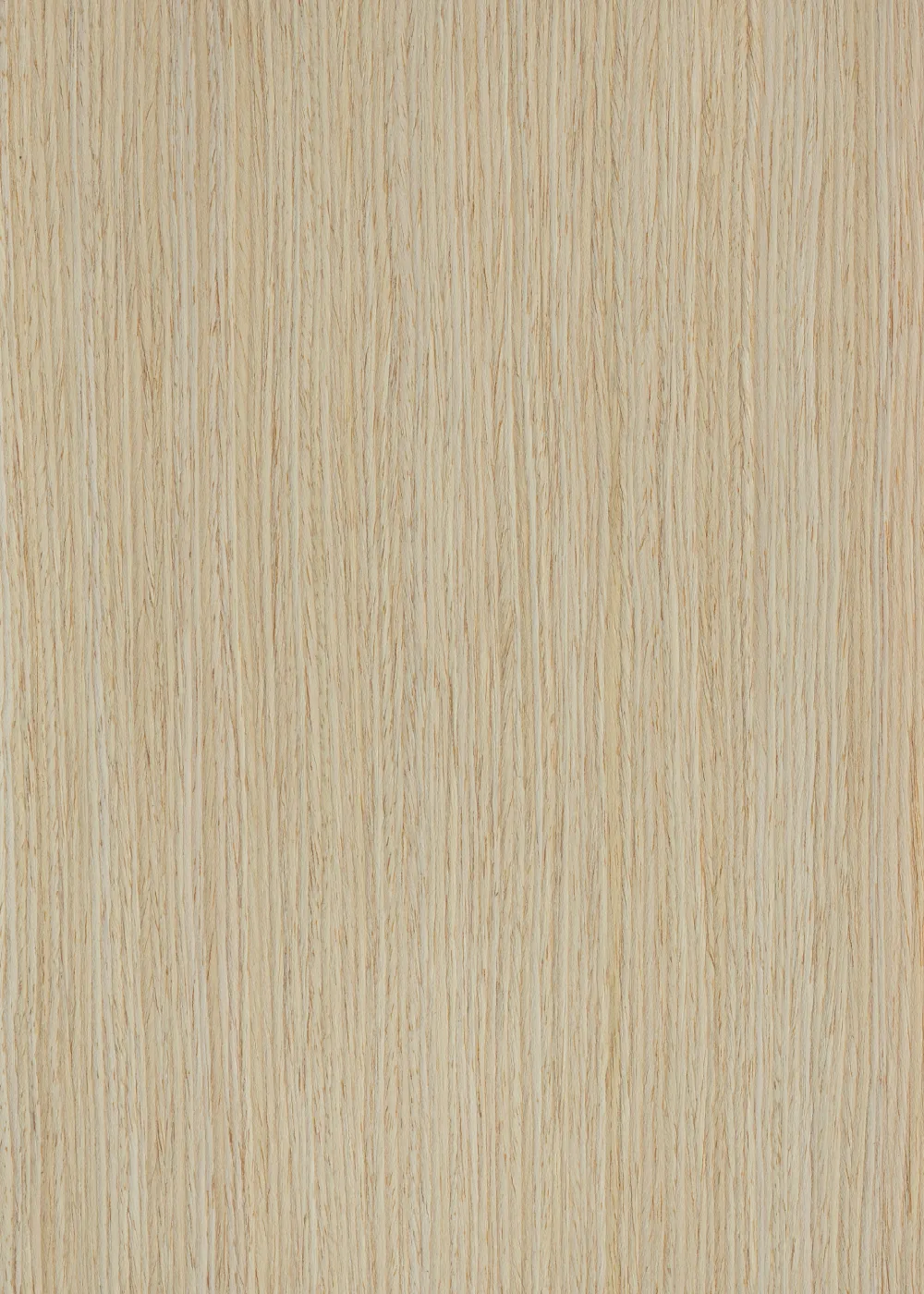 Ąžuolas 28 S (2500 x 640 mm)